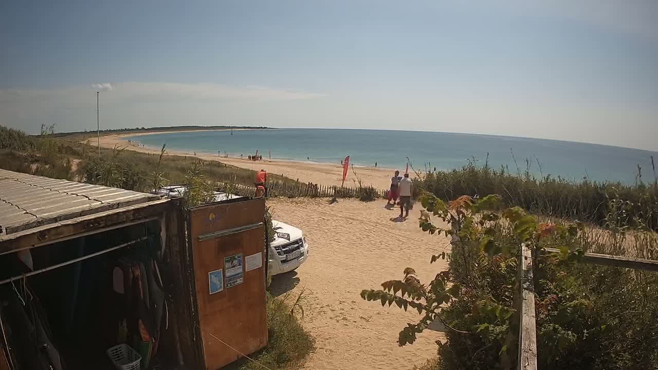 A sandy beach with people near the water under a clear, sunny sky, viewed from behind a weathered wooden structure and vegetation.