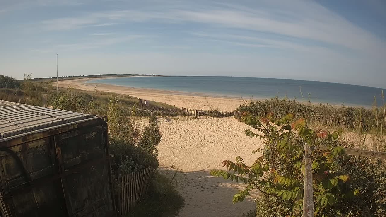 A sandy beach stretches along a calm ocean under a partly cloudy sky, viewed from behind a weathered metal container and dune vegetation.