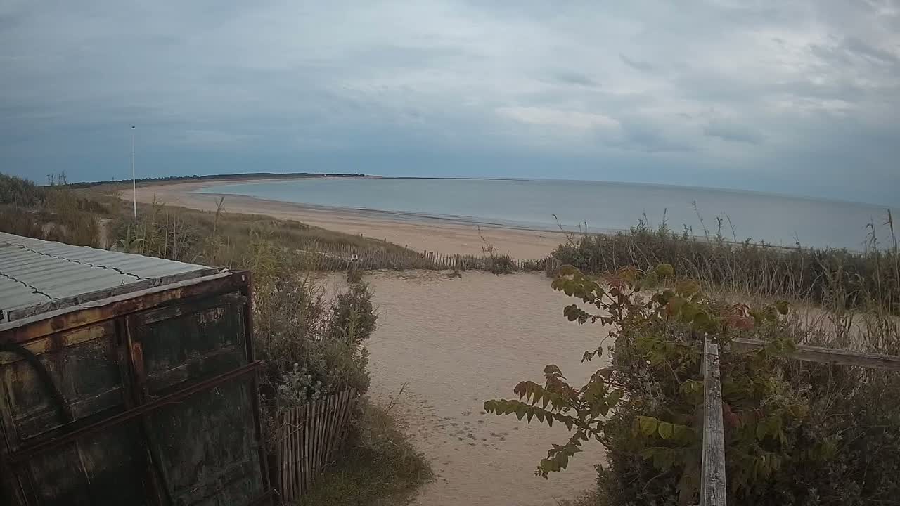 A view from behind an old container shows a sandy beach and calm ocean under an overcast sky.