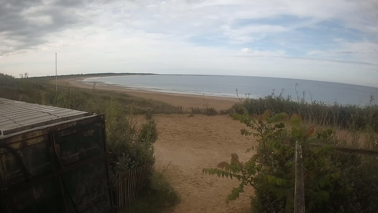 A sandy beach with calm ocean waves stretches under a cloudy sky, viewed from behind a weathered dark container nestled in beach vegetation.