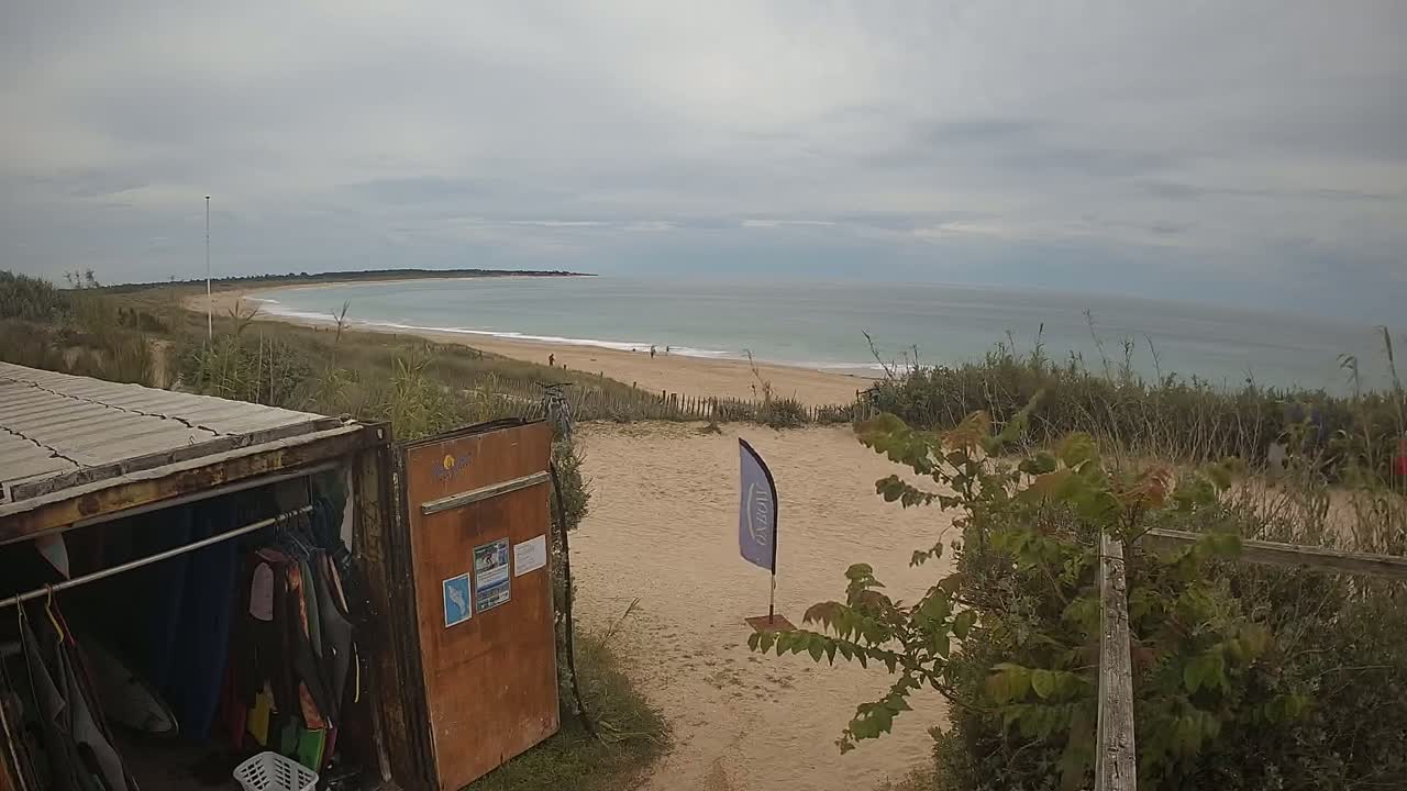 A sandy beach with calm ocean waves under an overcast sky is viewed from behind a weathered shipping container used for storing wetsuits, with vegetation in the foreground.