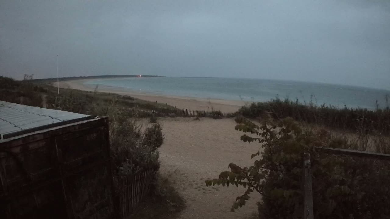A dark gray, overcast sky hangs over a sandy beach and calm ocean, viewed from behind vegetation and a dark metal container.