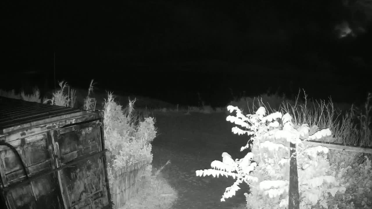 A dark, snowy nighttime scene shows a large metal container next to snow-covered bushes and a fence.