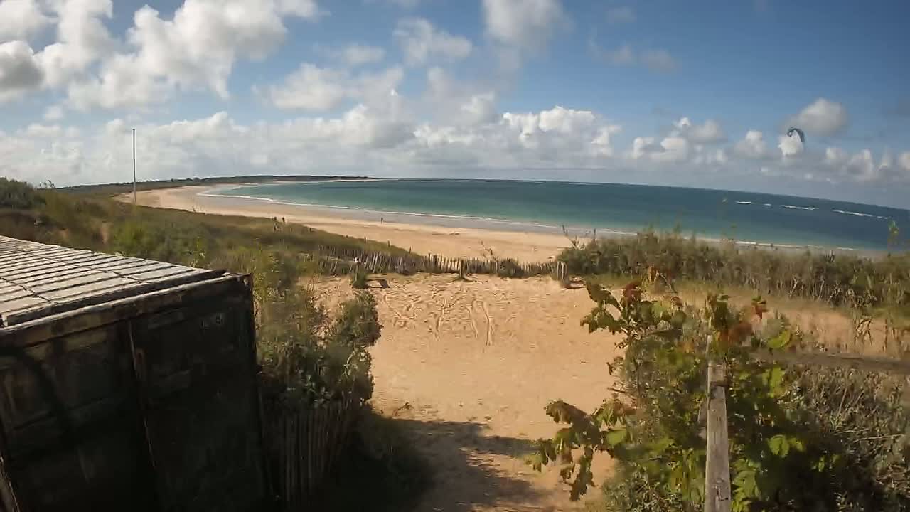 A sandy beach with calm, teal water stretches under a partly cloudy sky, viewed from behind a weathered container, partially obscured by vegetation.