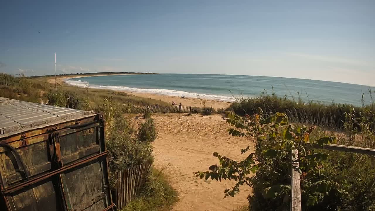 A sandy beach with gentle waves under a clear blue sky is viewed from behind a weathered metal container and vegetation, revealing a few people relaxing on the shore.