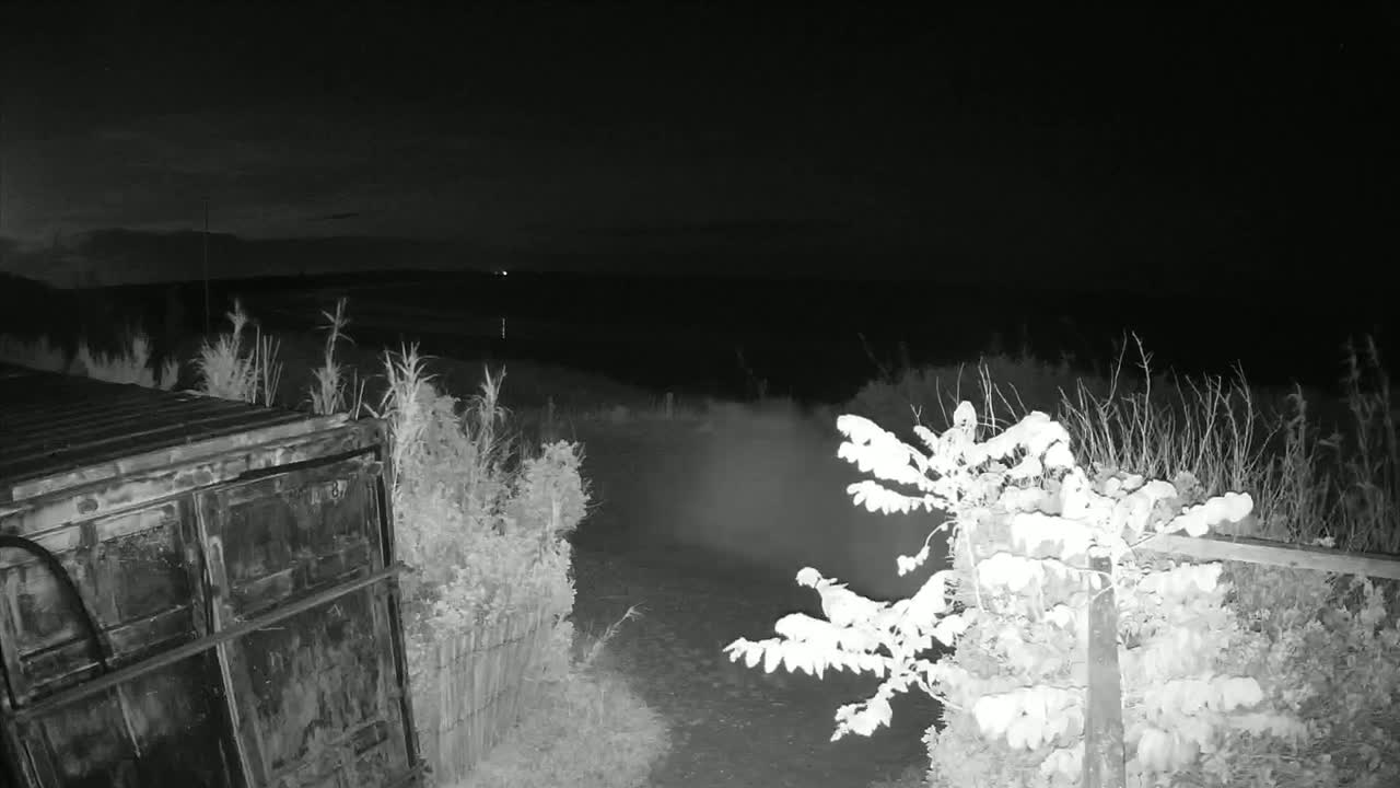 Saint-Denis-d'Oleron  Plage des Huttes Surf Beach Live Cam  - Rochefort, Charente-Maritime, Nouvelle-Aquitaine, France 
