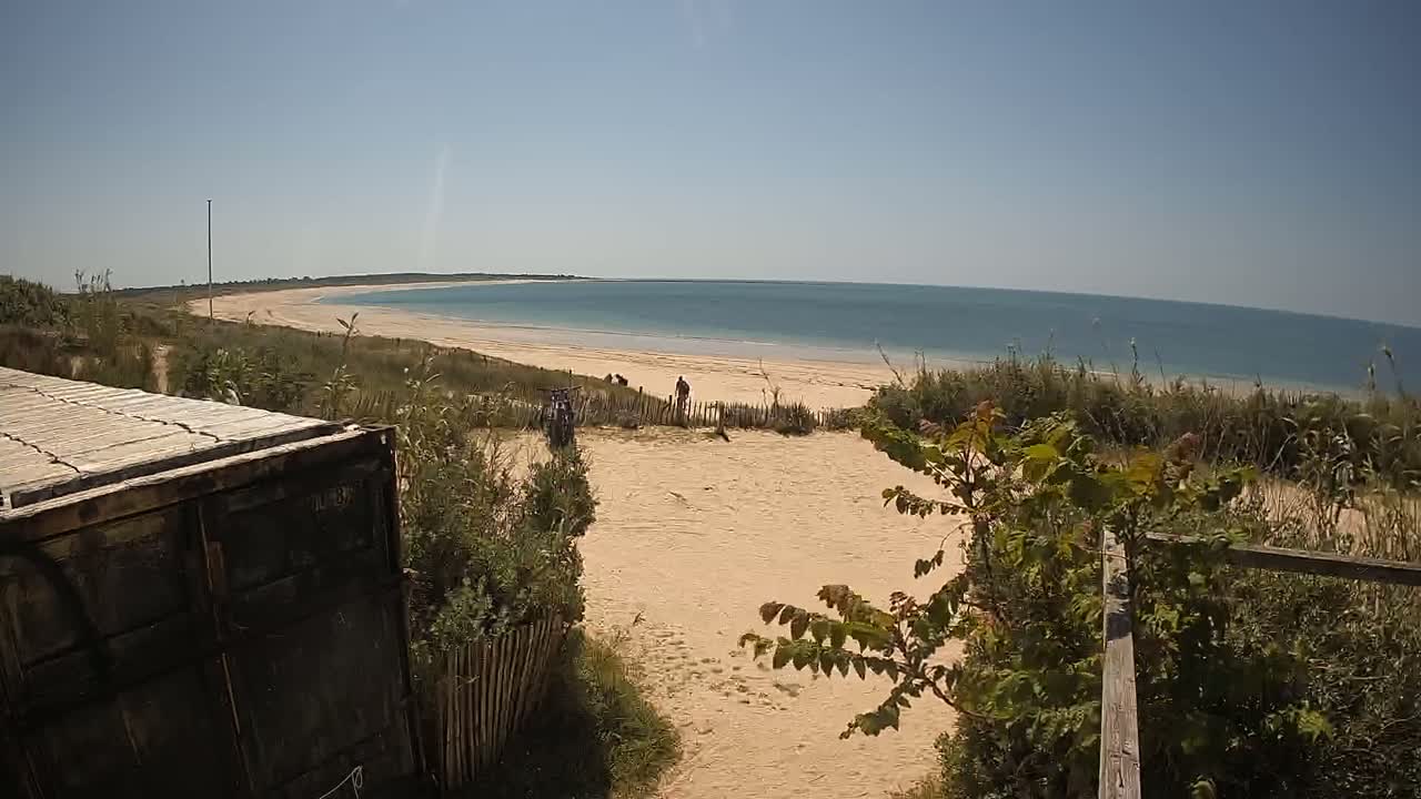 A sandy beach and calm ocean are visible from behind a wooden fence and a dark container, under a clear sunny sky.