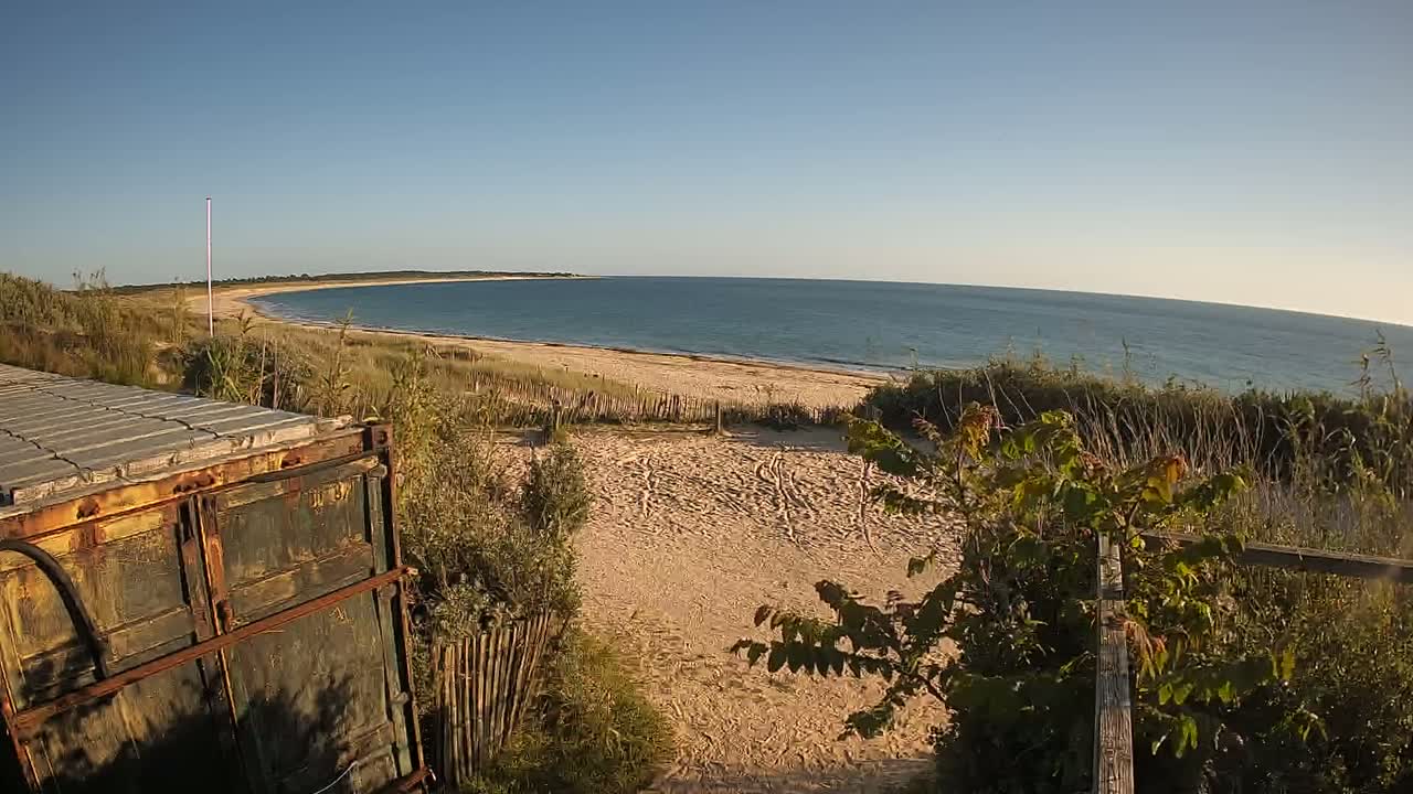 A rusty shipping container sits near a sandy beach and calm ocean under a clear blue sky.