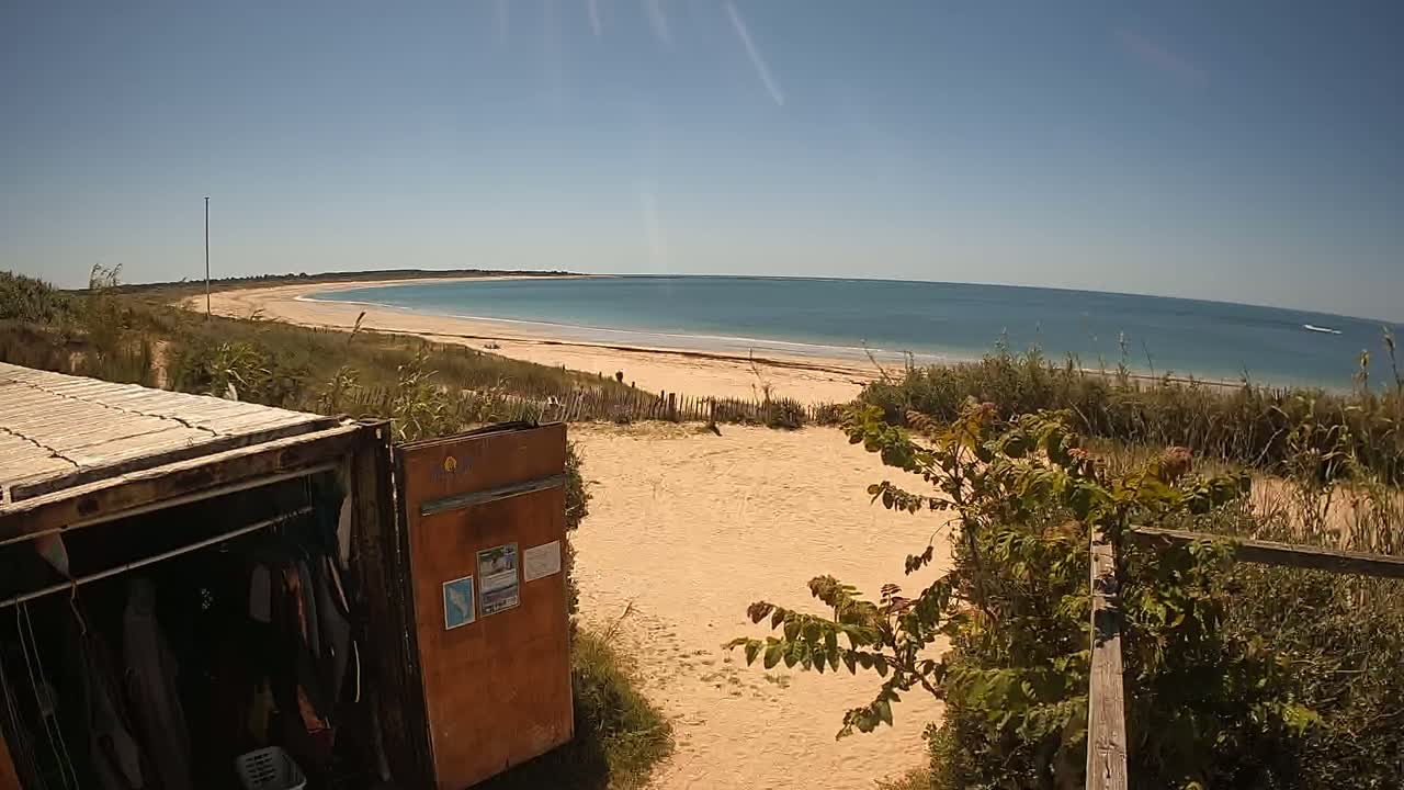 A sandy beach with calm ocean water under a clear, sunny sky is seen from behind a weathered shipping container used as a storage unit.