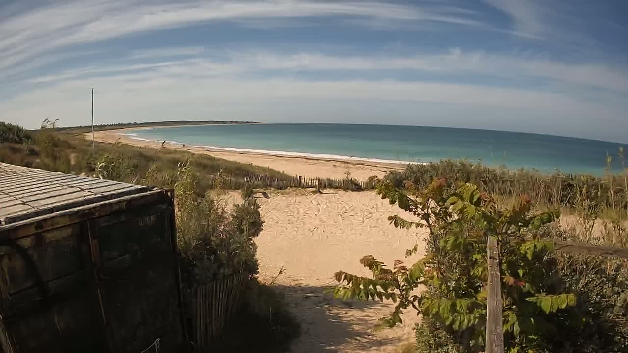 A sandy beach with light-blue water under a partly cloudy sky is viewed from behind a dark-colored container, partially obscured by vegetation.