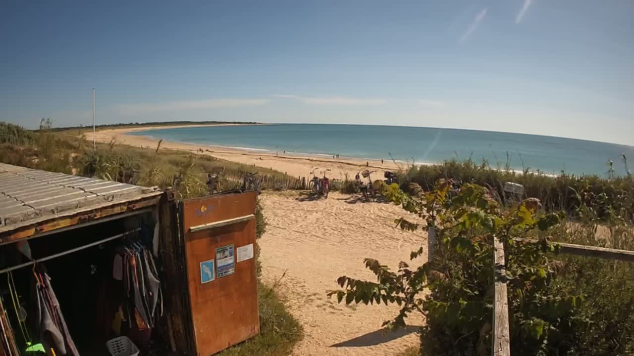 A sandy beach with calm, light blue water stretches to a distant shoreline under a clear, sunny sky, overlooked from behind a weathered shipping container used as a storage unit.