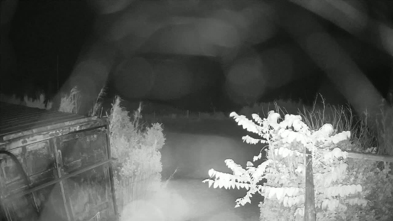 A nighttime, blurry security camera image shows a dark metal container, bushes, and a small tree in a yard with foggy or snowy conditions.