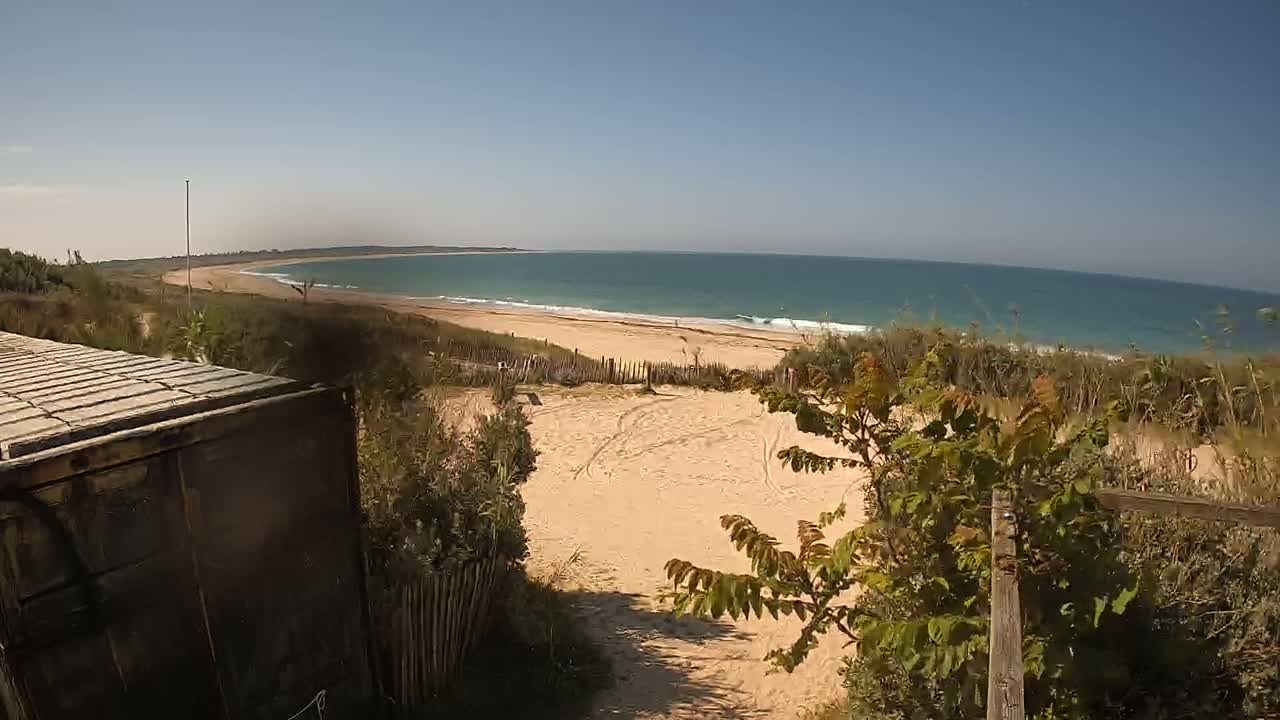 A sandy beach with light blue water stretches along a curved coastline under a clear blue sky, viewed from behind a dark-colored container and vegetation on a dune.