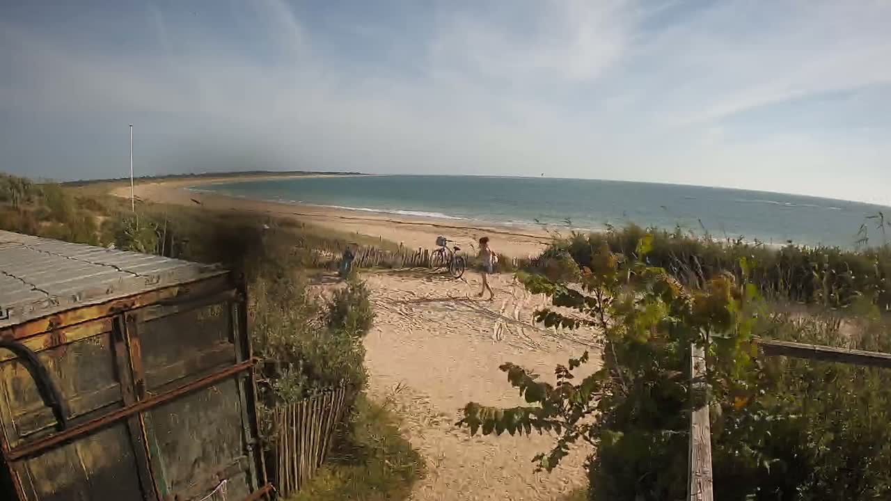 A sandy beach with calm ocean waters stretches out under a mostly sunny sky, viewed from behind a weathered container and vegetation.