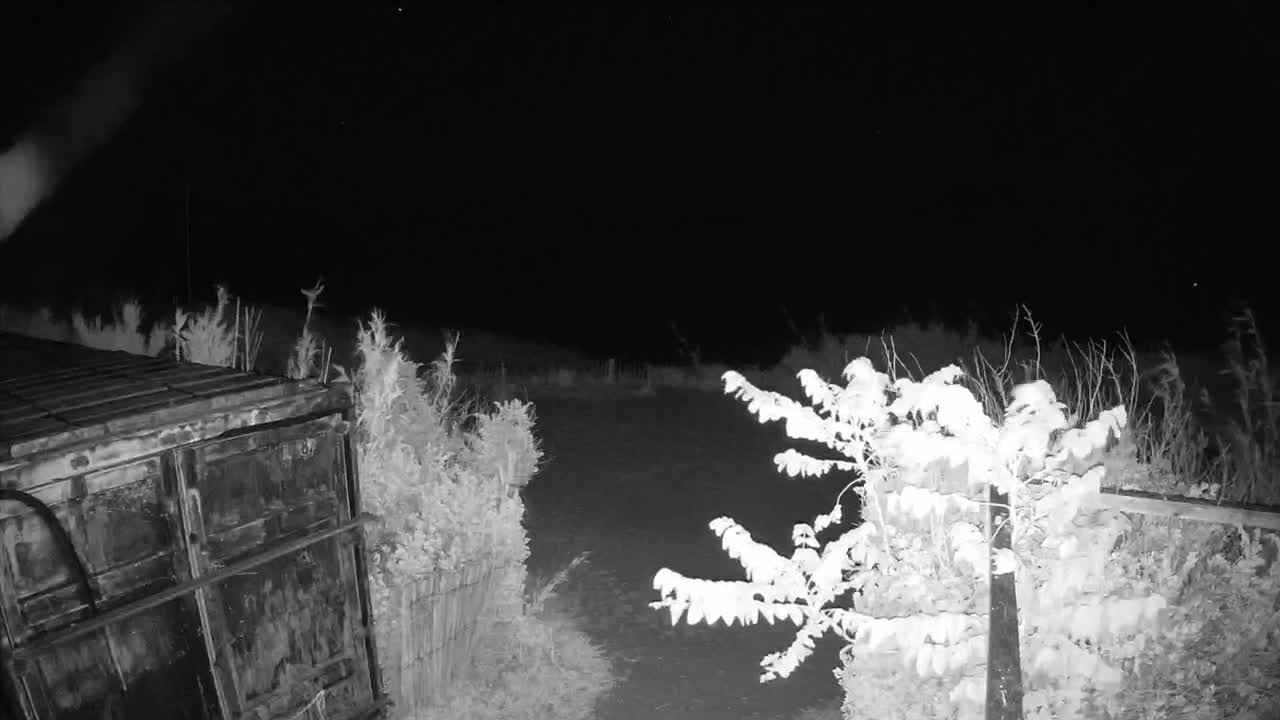 A large metal container sits at the edge of a dark, sparsely vegetated area at night under a clear sky.