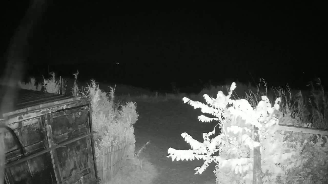 A dark, nighttime scene shows a metal container next to some vegetation and a fence under a clear, dark sky.