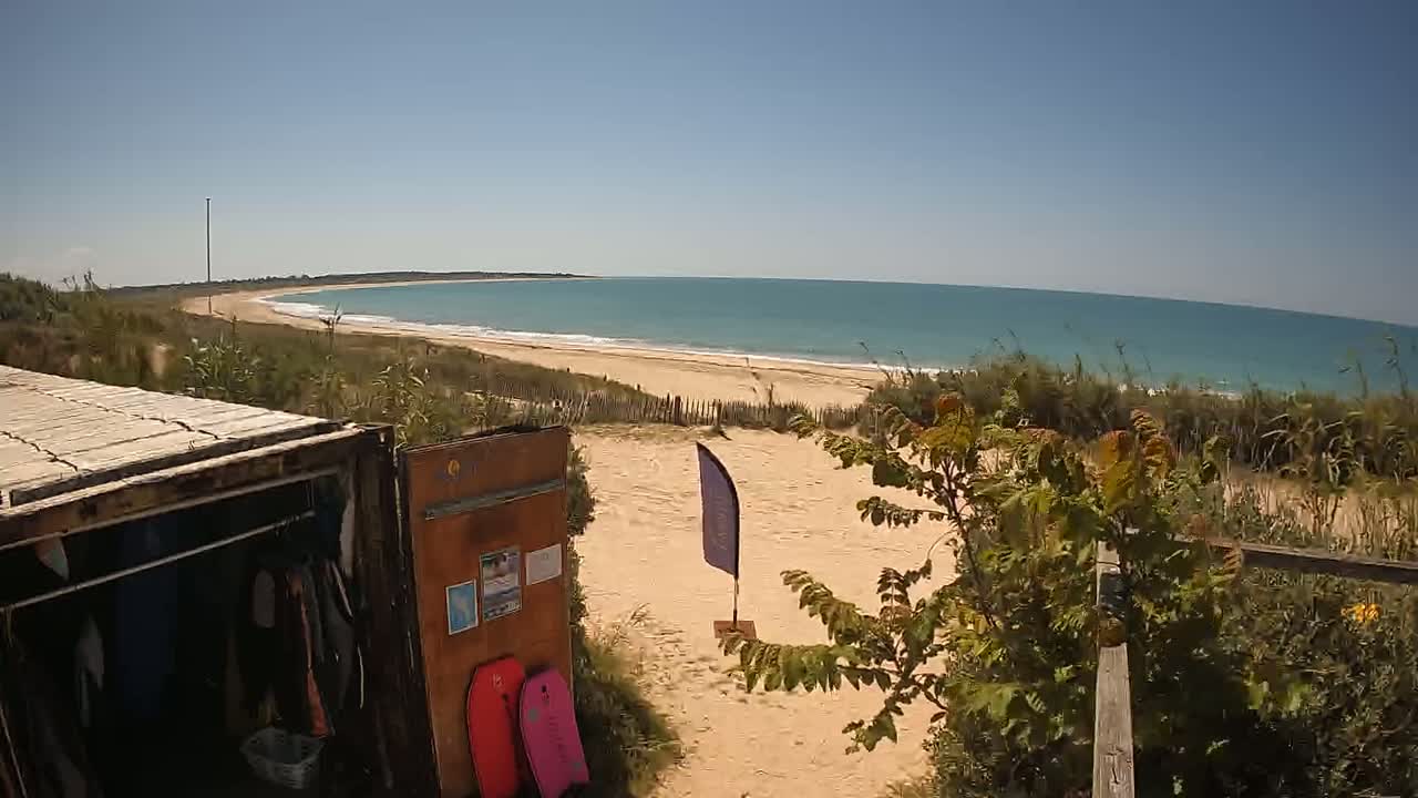 A sandy beach with calm, blue water stretches out under a clear, sunny sky, viewed from behind a weathered wooden container holding beach equipment.