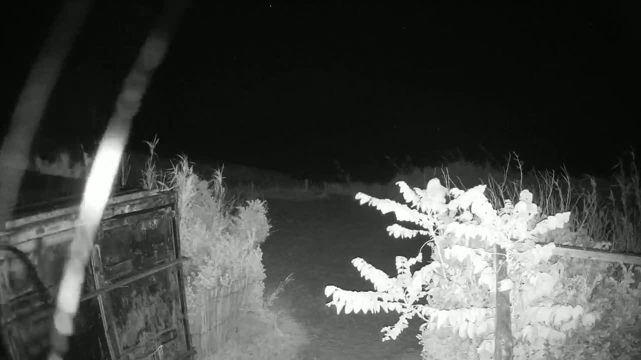 A nighttime, infrared image shows a dark metal structure to the left, bushes in the foreground, and a mostly clear, dark sky.