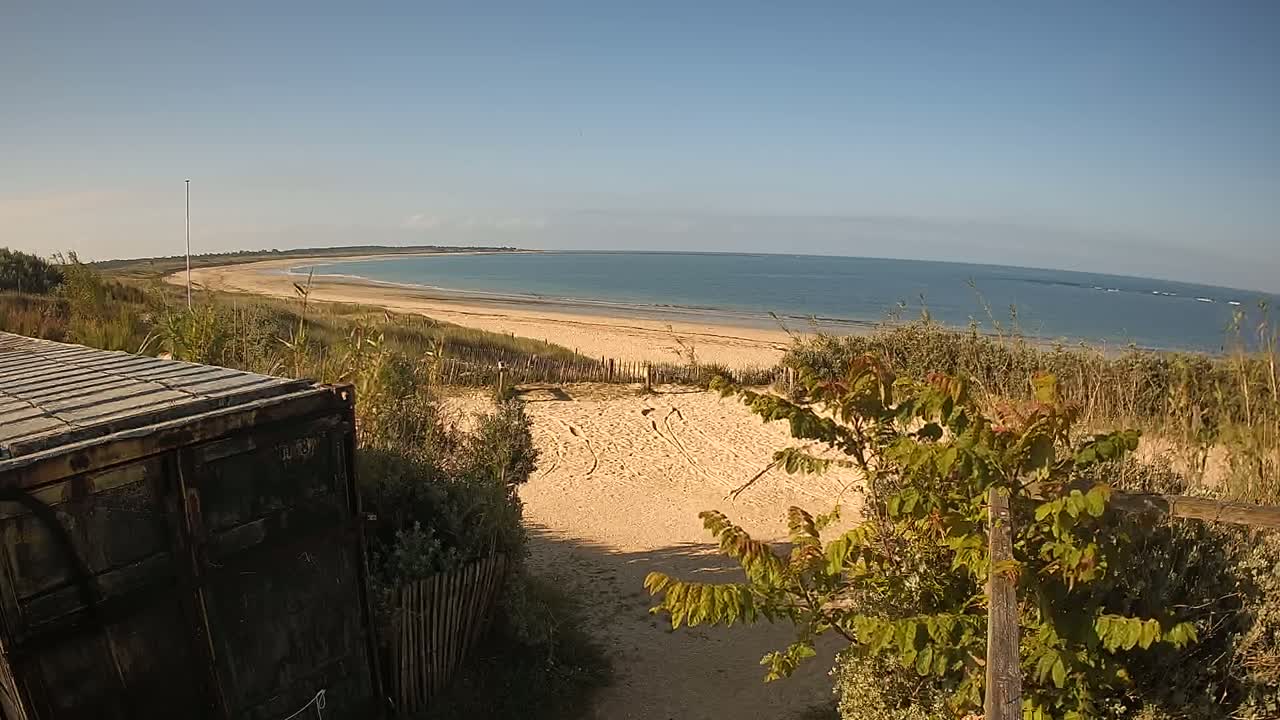 A sandy beach with calm ocean water is viewed from behind a weathered container, with vegetation and a wooden fence separating the viewer from the sand.