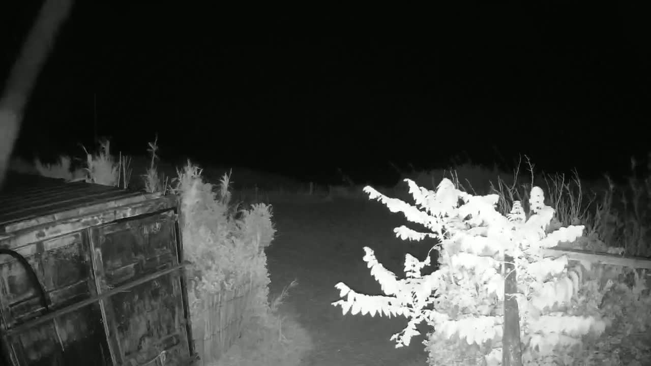 Saint-Denis-d'Oleron  Plage des Huttes Surf Beach Live Cam  - Rochefort, Charente-Maritime, Nouvelle-Aquitaine, France 