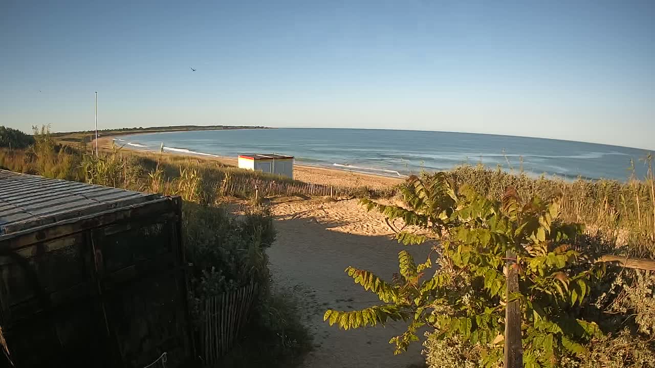 A sandy beach with gentle waves under a clear blue sky is seen from behind a dark-colored container, with vegetation and a small beach hut in the foreground.