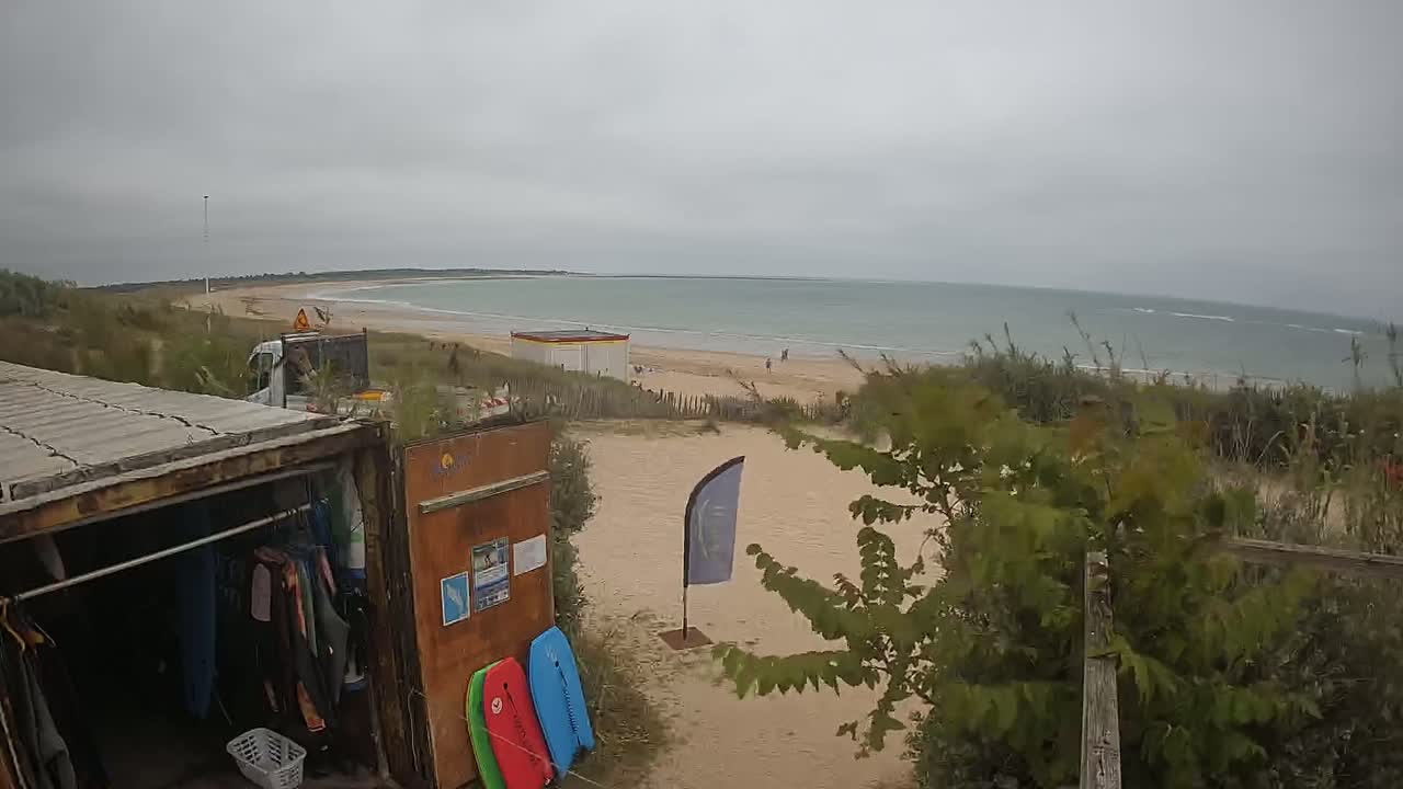 A sandy beach with calm, light-green water under an overcast sky is seen from behind a weathered shipping container holding wetsuits and bodyboards.