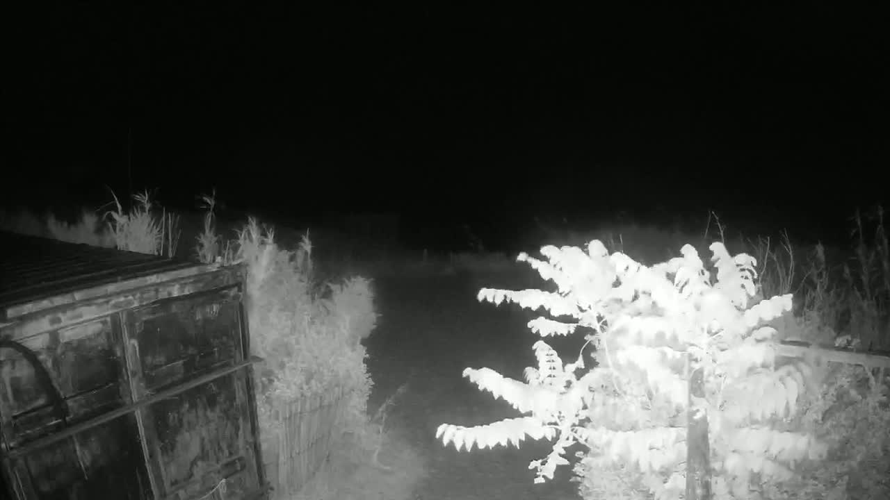 Saint-Denis-d'Oleron  Plage des Huttes Surf Beach Live Cam  - Rochefort, Charente-Maritime, Nouvelle-Aquitaine, France 