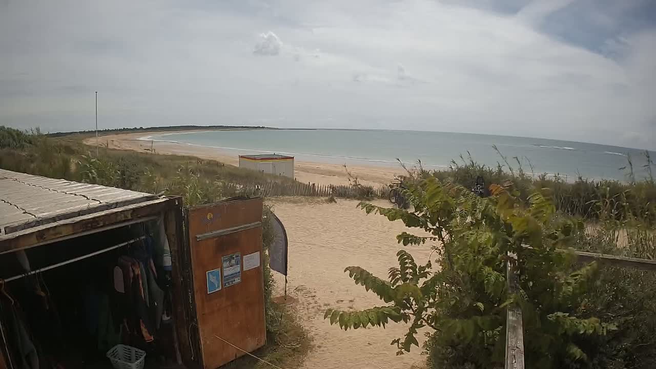 A sandy beach with calm ocean water under a cloudy sky is viewed from behind a repurposed shipping container used as a storage unit.