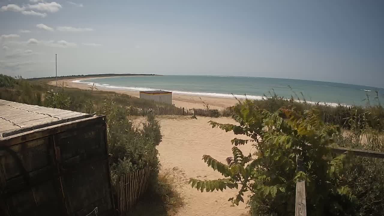 A sandy beach with a calm ocean stretches out under a partly cloudy sky, viewed from behind vegetation and a section of a large container.