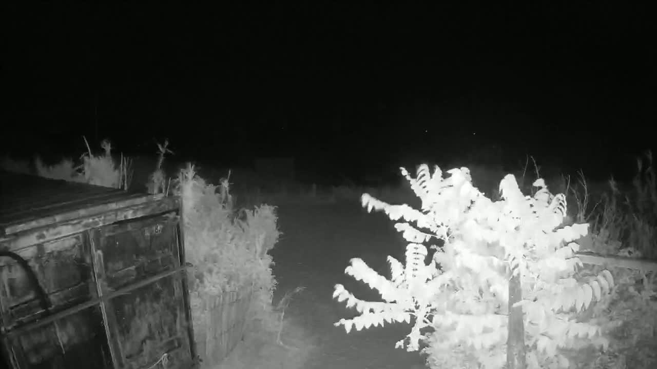 Saint-Denis-d'Oleron  Plage des Huttes Surf Beach Live Cam  - Rochefort, Charente-Maritime, Nouvelle-Aquitaine, France 