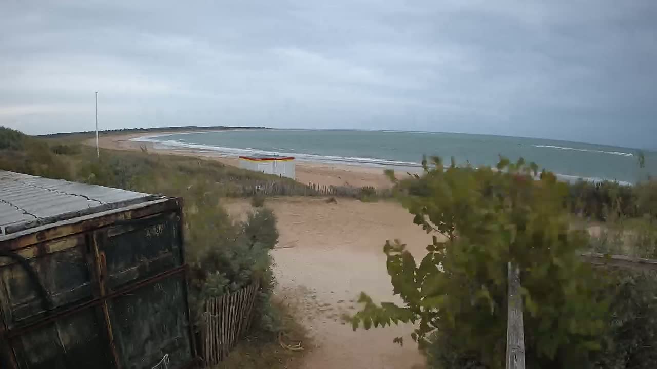 A view of a beach with calm, gray-green water under an overcast sky is partially obscured by vegetation and the side of a dark-colored container.