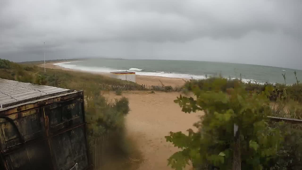 A sandy beach with small waves under an overcast sky is seen from behind a weathered container, with vegetation in the foreground.