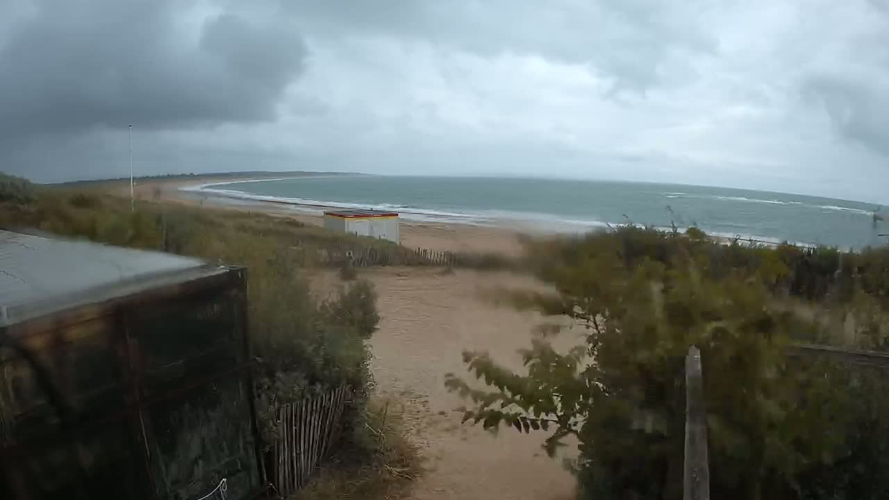 A windy, overcast day at a beach shows a sandy shore, a small building, and vegetation blowing in the wind.