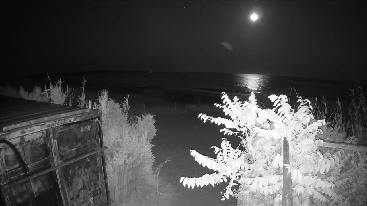 Saint-Denis-d'Oleron  Plage des Huttes Surf Beach Live Cam  - Rochefort, Charente-Maritime, Nouvelle-Aquitaine, France 