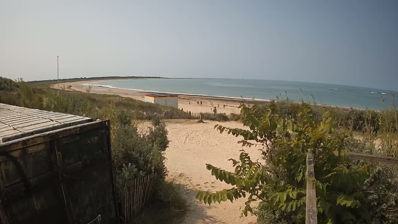 A sandy beach with a calm ocean stretches out under a clear sky, viewed from behind a weathered container and dune vegetation.