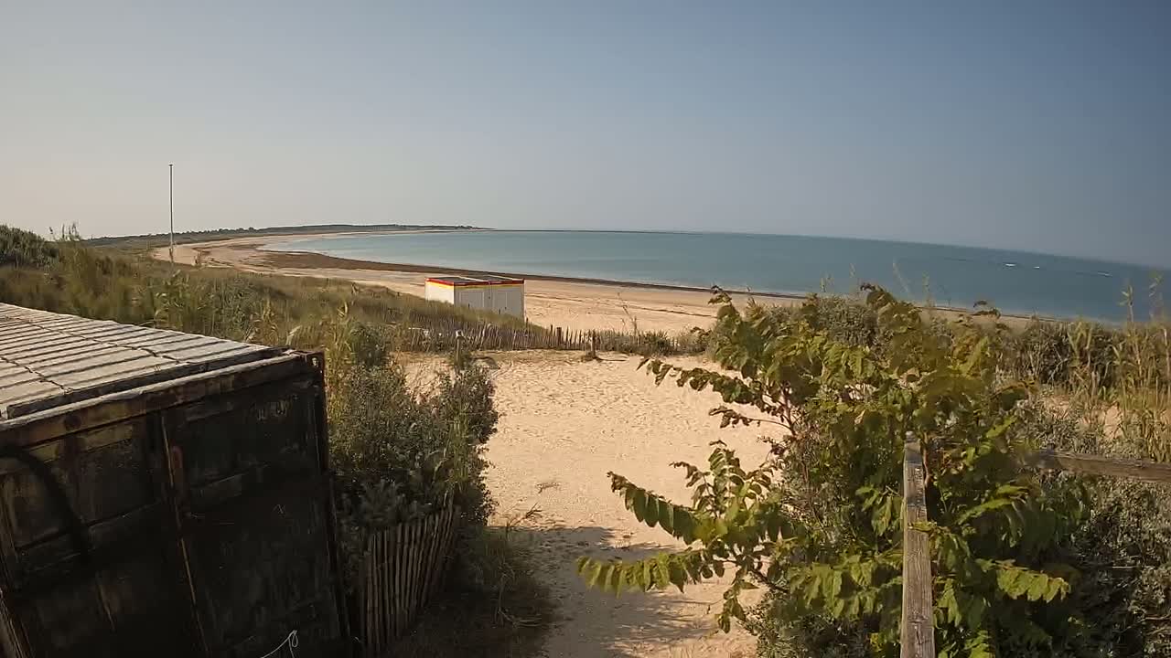 A sandy beach with calm blue water stretches to the horizon under a clear sky,  seen from behind a weathered container and vegetation overlooking a small building on the sand.