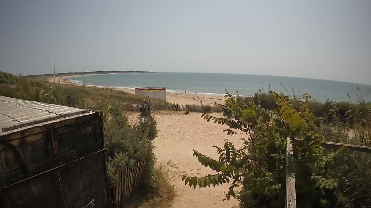 A sandy beach with calm ocean waves is viewed from behind vegetation and a partially visible cargo container, under a clear sky.