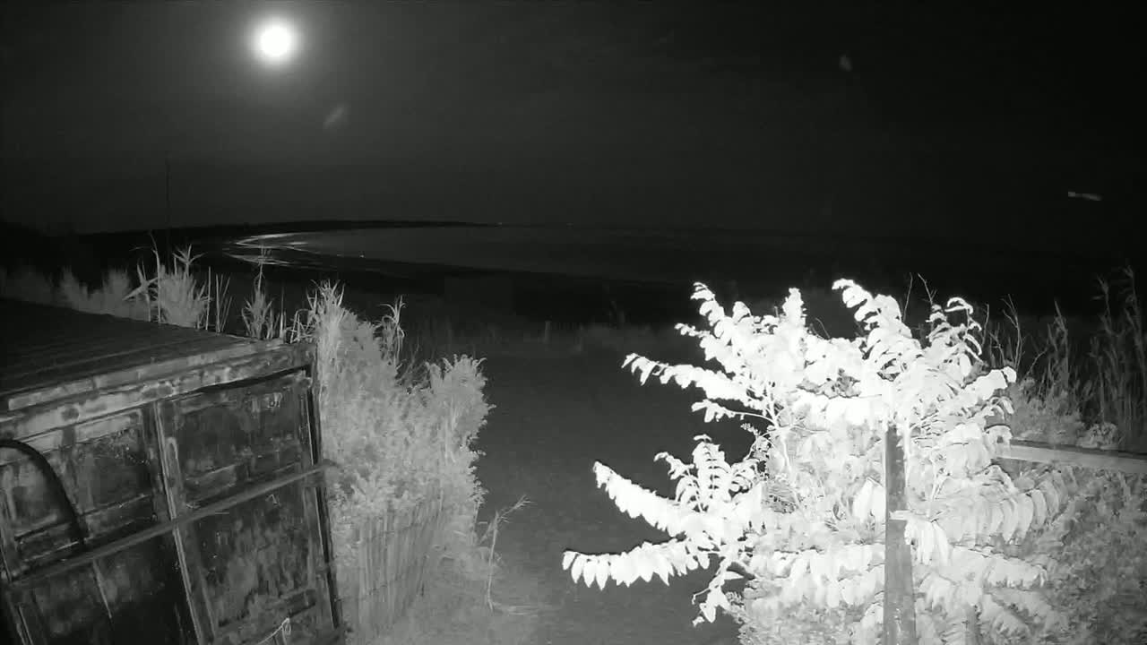 Saint-Denis-d'Oleron  Plage des Huttes Surf Beach Live Cam  - Rochefort, Charente-Maritime, Nouvelle-Aquitaine, France 