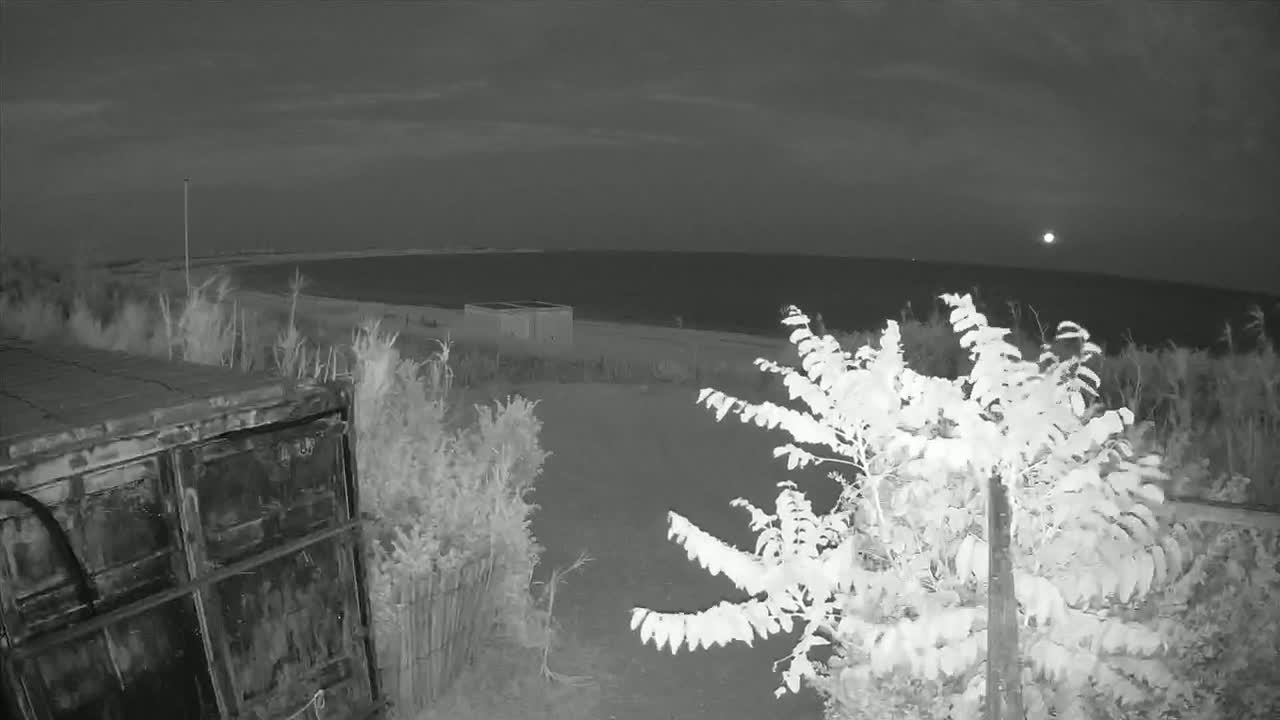 Saint-Denis-d'Oleron  Plage des Huttes Surf Beach Live Cam  - Rochefort, Charente-Maritime, Nouvelle-Aquitaine, France 