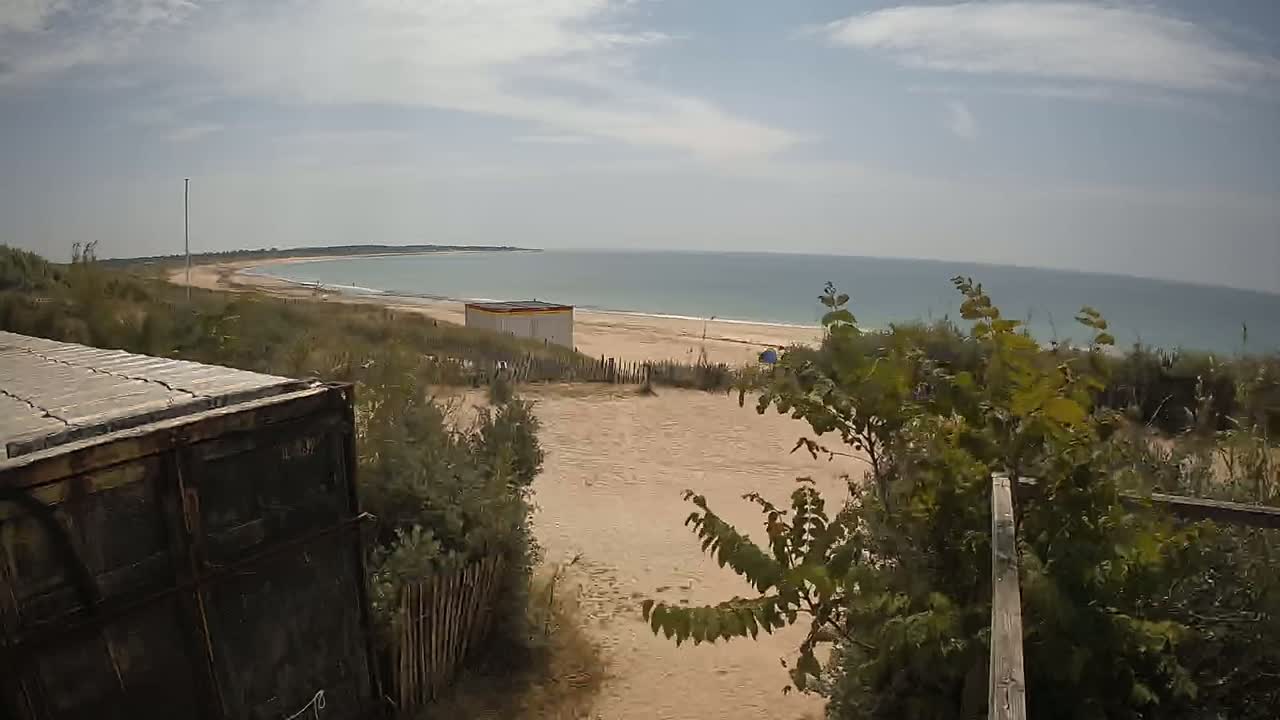 A sandy beach and calm ocean are visible beyond a dune covered with vegetation, partially obscured by the back of a truck.