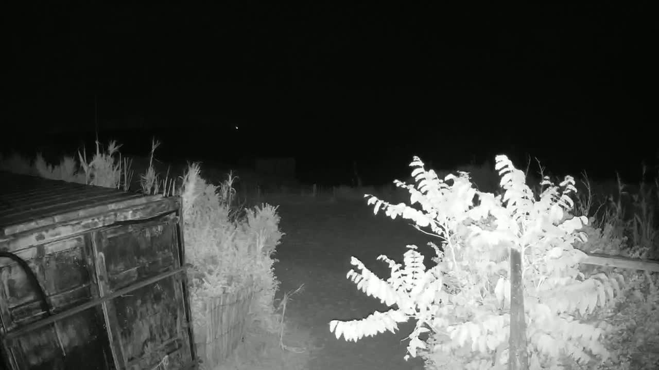 Saint-Denis-d'Oleron  Plage des Huttes Surf Beach Live Cam  - Rochefort, Charente-Maritime, Nouvelle-Aquitaine, France 
