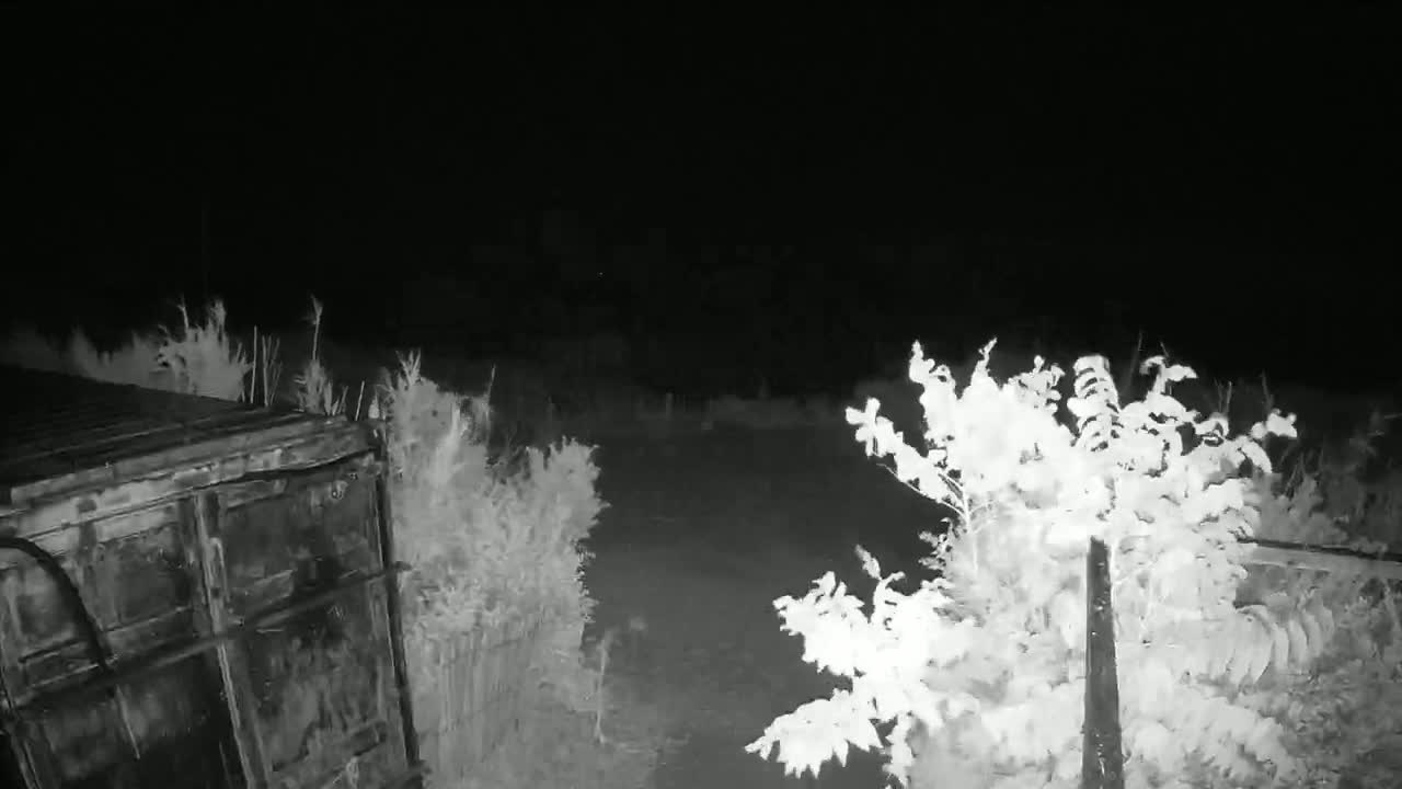 Saint-Denis-d'Oleron  Plage des Huttes Surf Beach Live Cam  - Rochefort, Charente-Maritime, Nouvelle-Aquitaine, France 