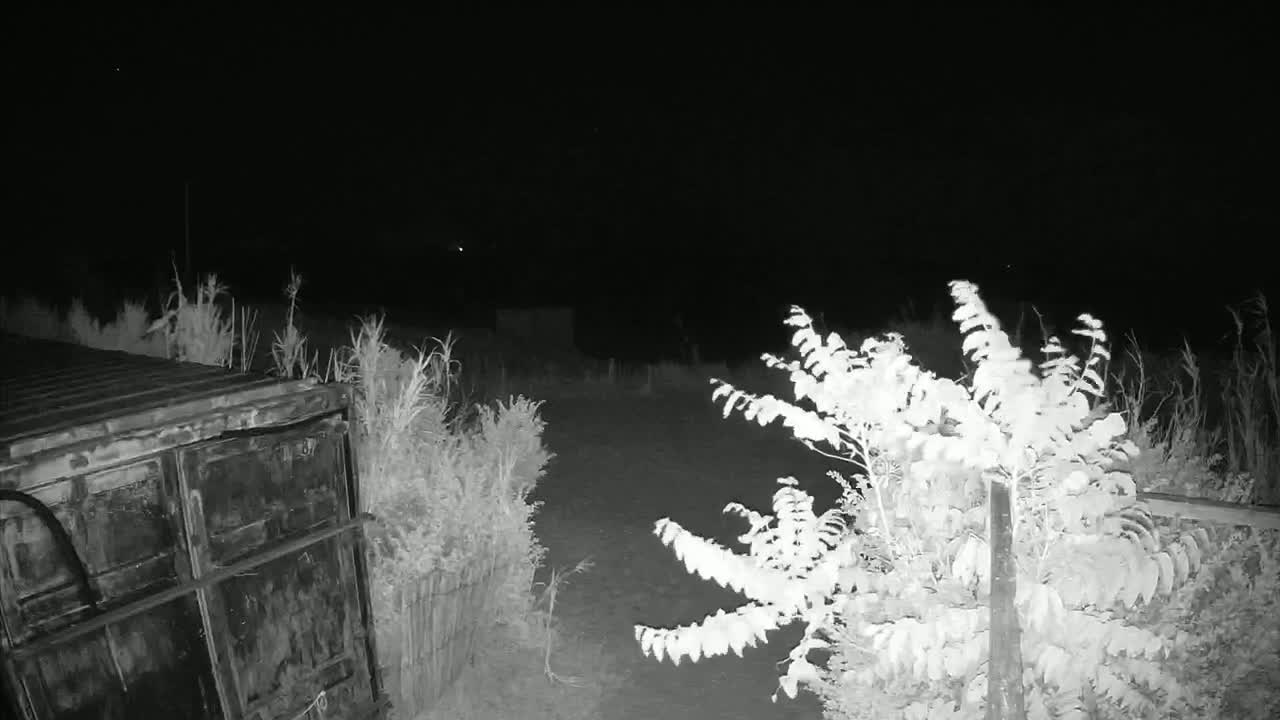 Saint-Denis-d'Oleron  Plage des Huttes Surf Beach Live Cam  - Rochefort, Charente-Maritime, Nouvelle-Aquitaine, France 