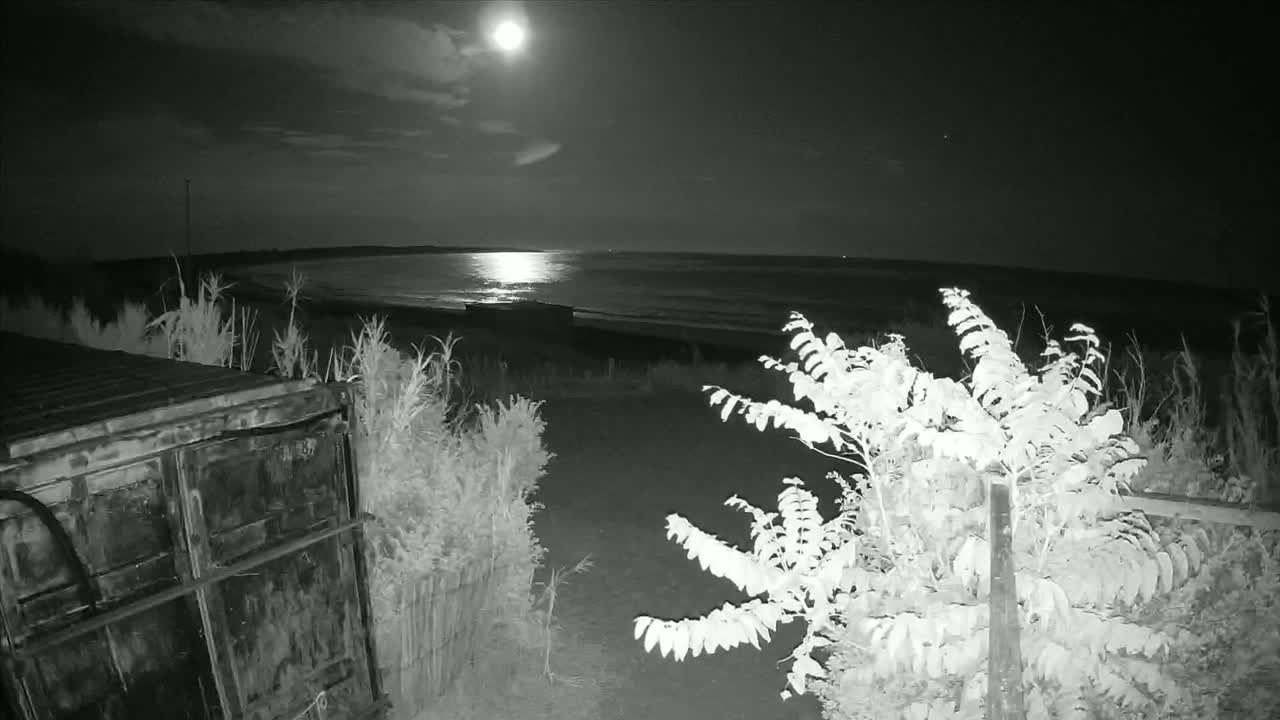 Saint-Denis-d'Oleron  Plage des Huttes Surf Beach Live Cam  - Rochefort, Charente-Maritime, Nouvelle-Aquitaine, France 
