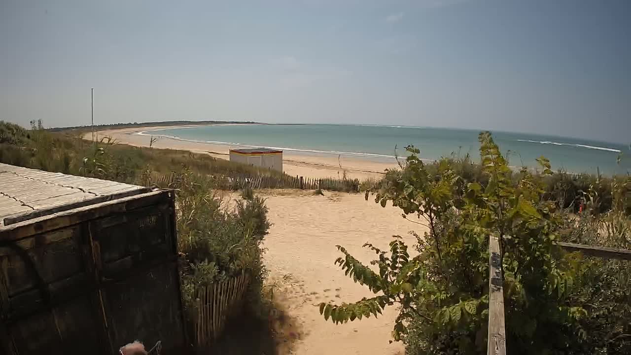A sandy beach with calm, light-blue water stretches to a distant shoreline under a clear, sunny sky, partially obscured by vegetation and the back of a dark-colored container.