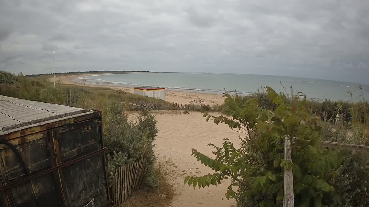 A sandy beach with a calm sea under an overcast sky is partially visible from behind a weathered container and vegetation.