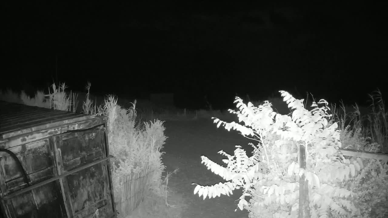 Saint-Denis-d'Oleron  Plage des Huttes Surf Beach Live Cam  - Rochefort, Charente-Maritime, Nouvelle-Aquitaine, France 
