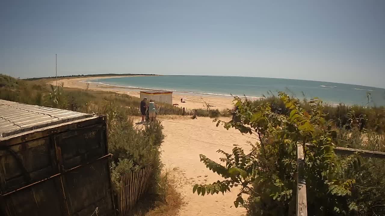 A sandy beach with calm, blue water stretches to a distant shoreline under a clear, sunny sky, viewed from behind a weathered container and vegetation.