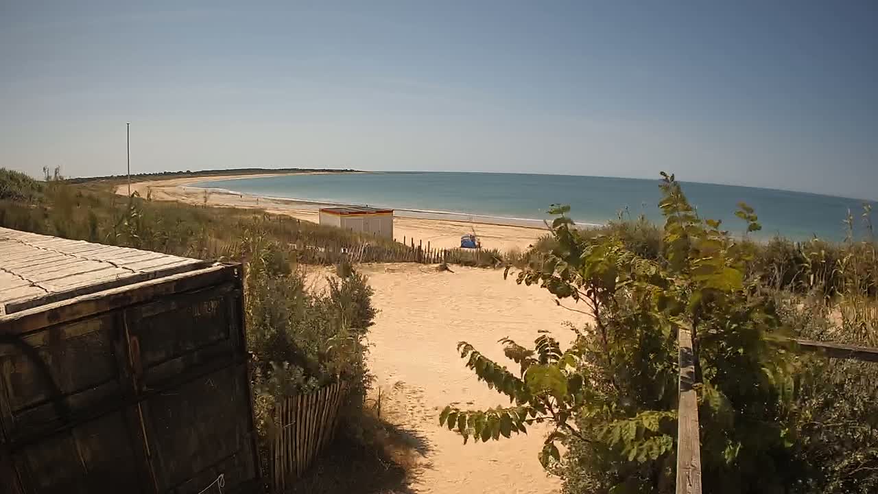 A sandy beach with calm blue water stretches to the horizon under a clear sky, viewed from behind vegetation and a portion of a dark-colored container.