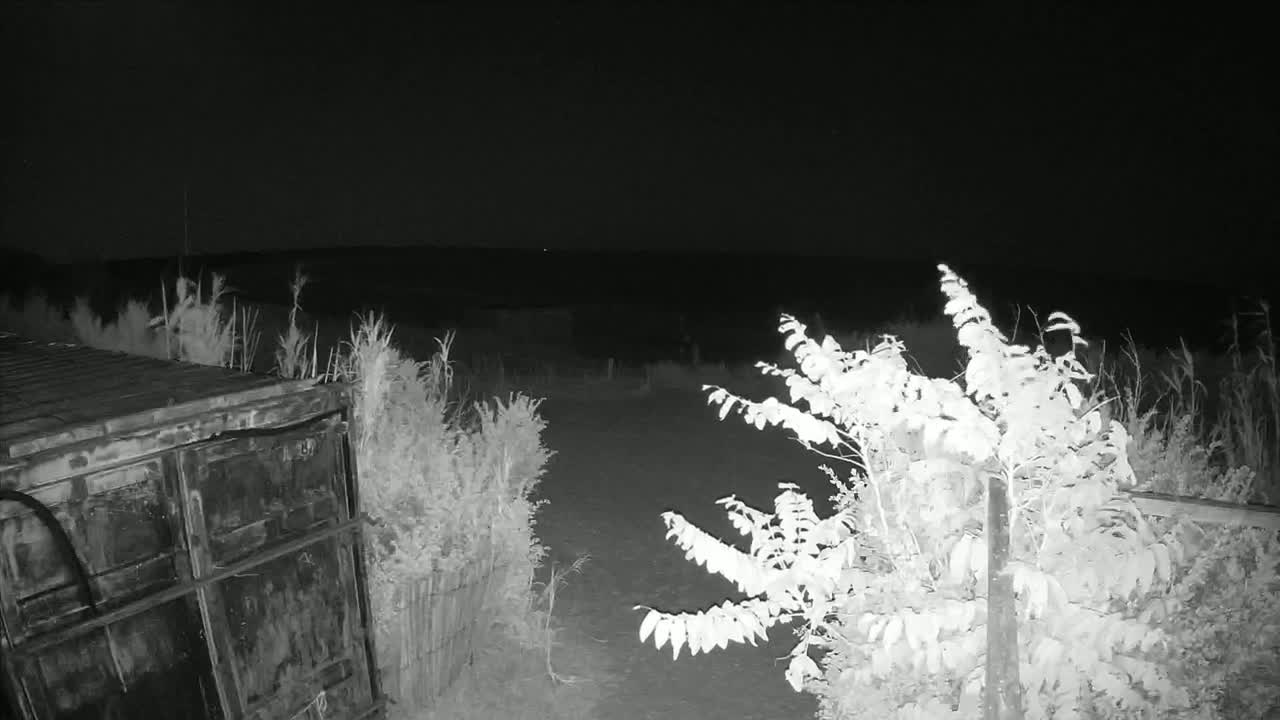Saint-Denis-d'Oleron  Plage des Huttes Surf Beach Live Cam  - Rochefort, Charente-Maritime, Nouvelle-Aquitaine, France 